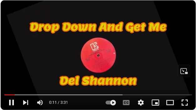 del shannon drop down and get me comeback album produced by Tom Petty with Hearbreakers as backing band